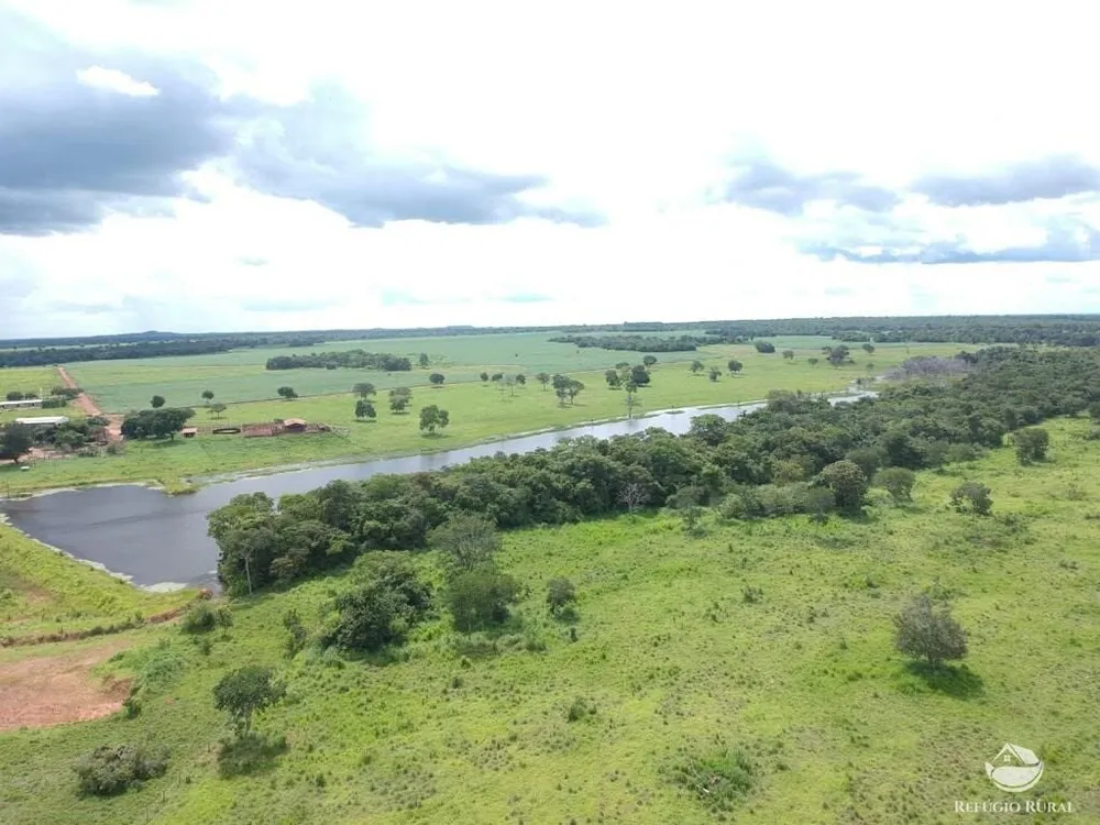 Fazenda, 3922 hectares - Foto 4