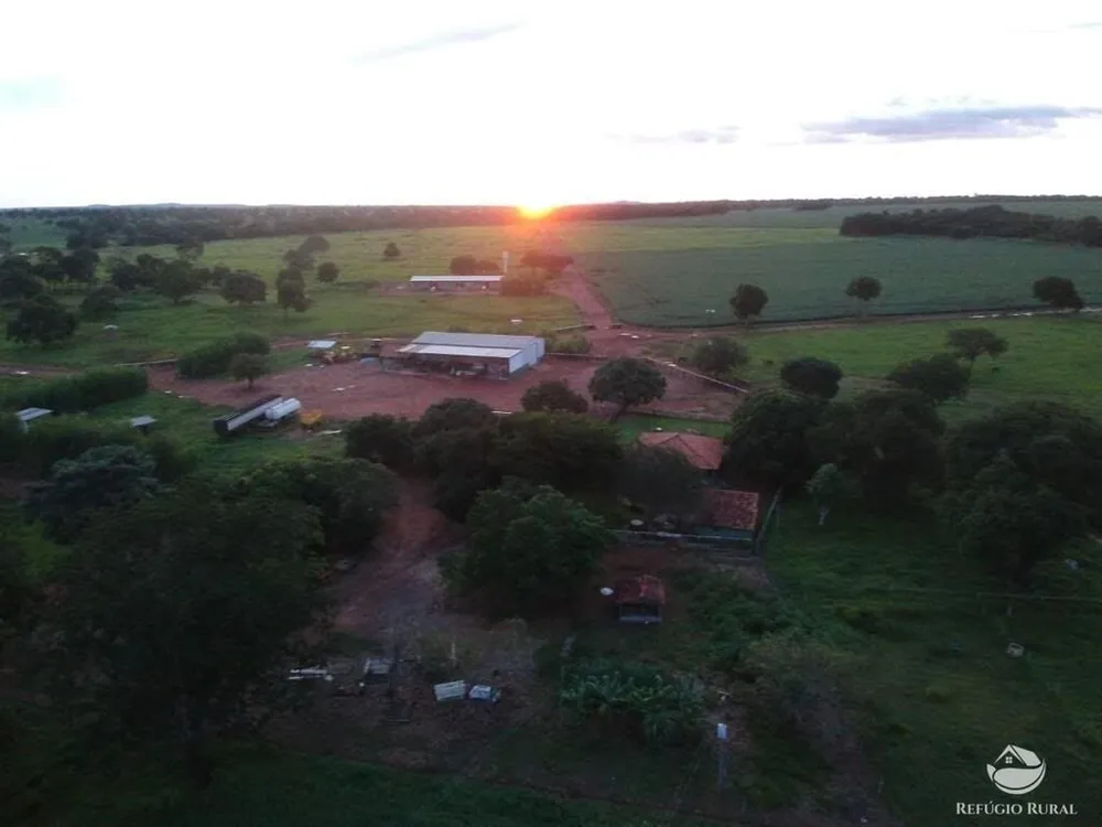 Fazenda, 3922 hectares - Foto 1