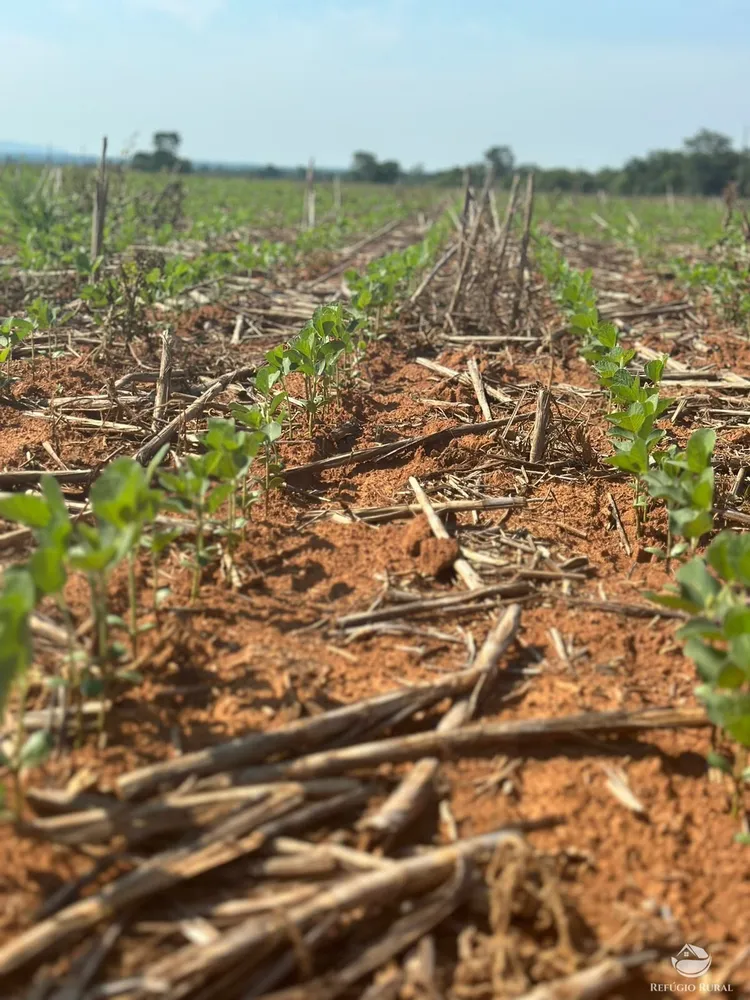 Fazenda, 3922 hectares - Foto 3