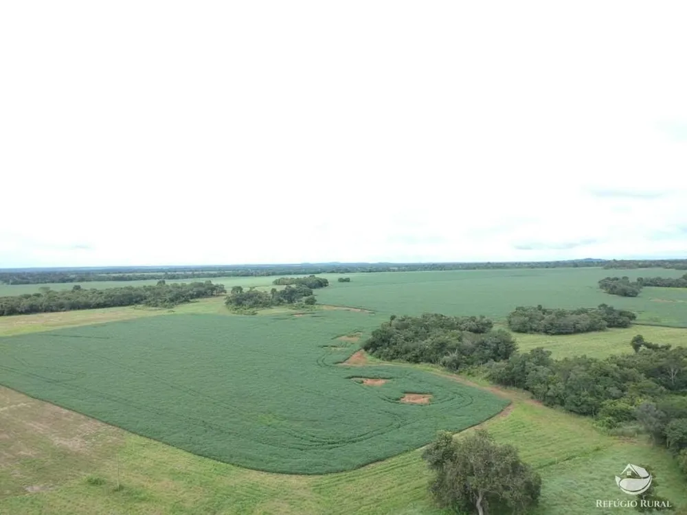 Fazenda, 3922 hectares - Foto 4