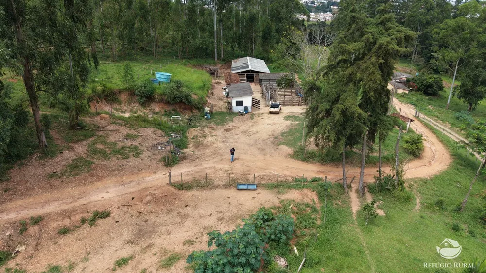 Fazenda, 28 hectares - Foto 10