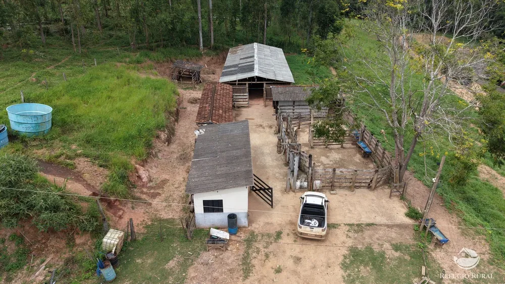Fazenda, 28 hectares - Foto 9