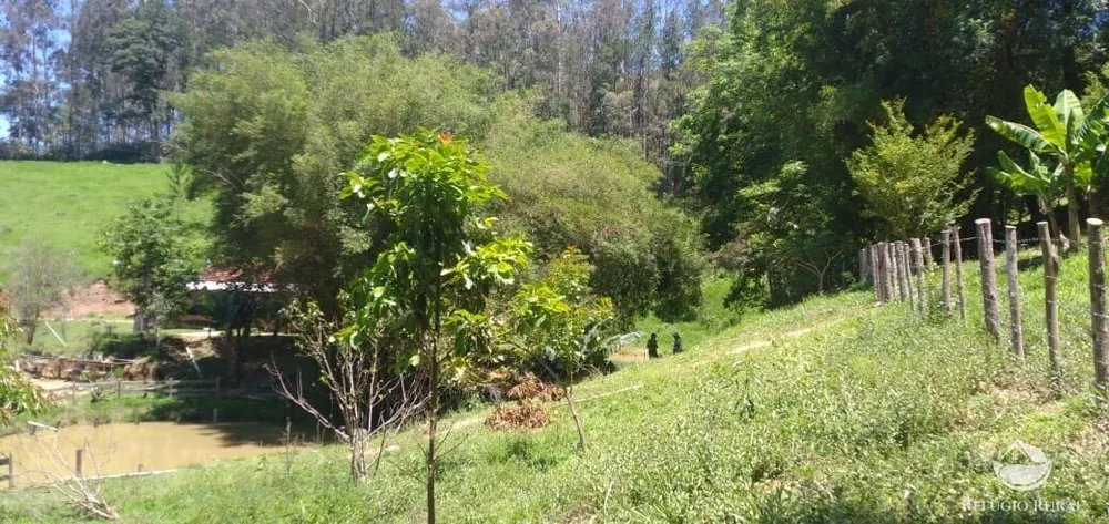 Sítio, 3 hectares - Foto 11