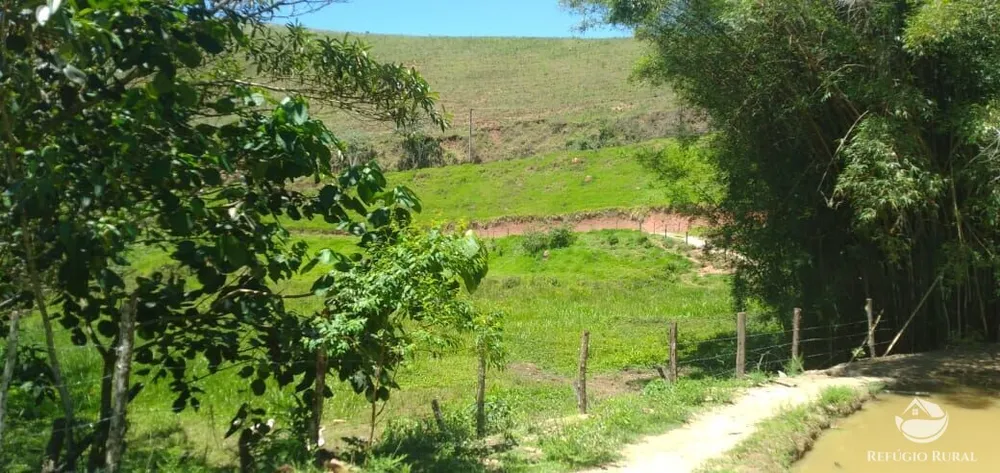 Sítio, 3 hectares - Foto 4