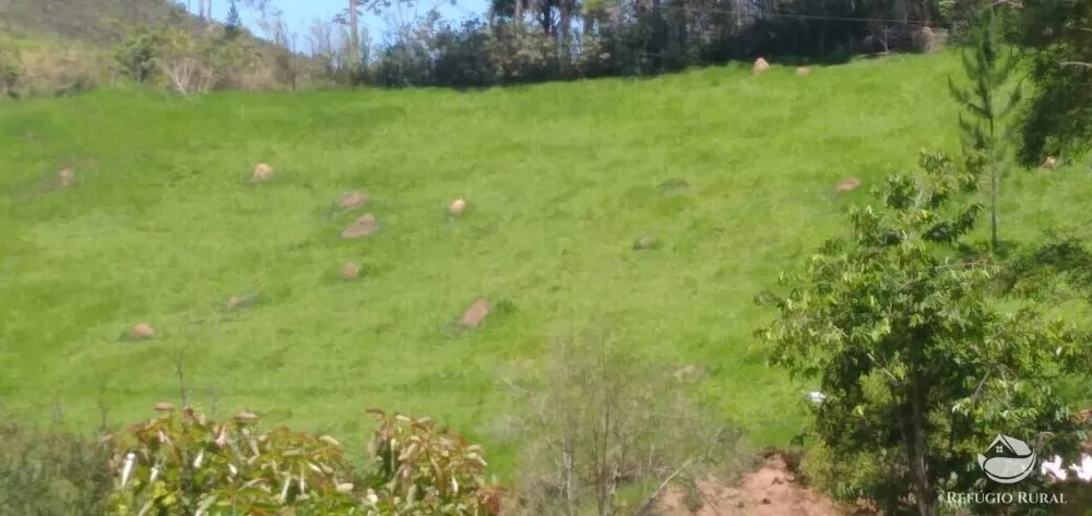 Sítio, 3 hectares - Foto 1