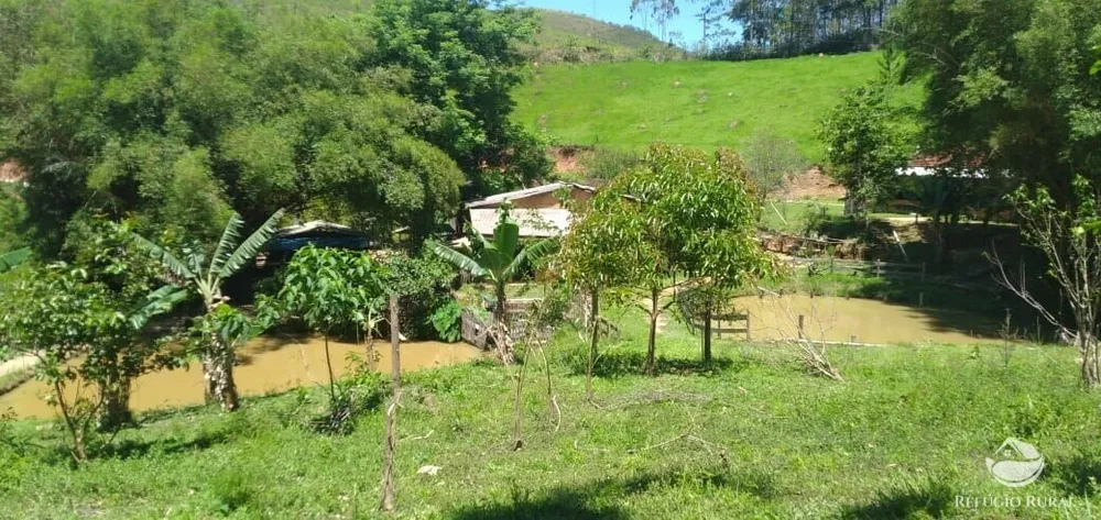Sítio, 3 hectares - Foto 10
