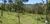 Sítio, 3 quartos, 3 hectares - Foto 1