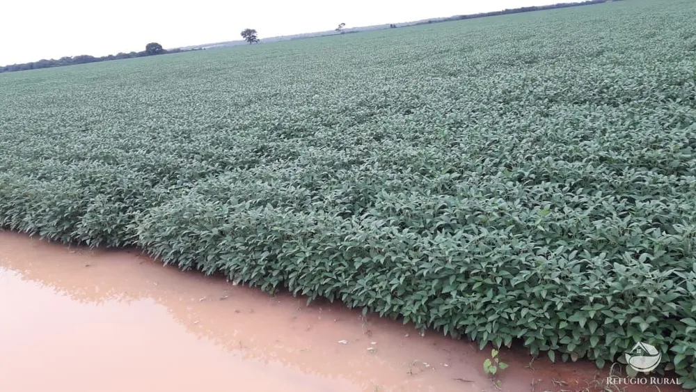 Fazenda, 1597 hectares - Foto 3