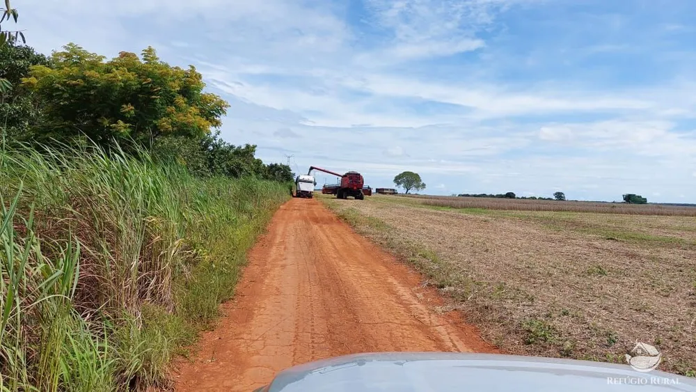 Fazenda, 1597 hectares - Foto 7