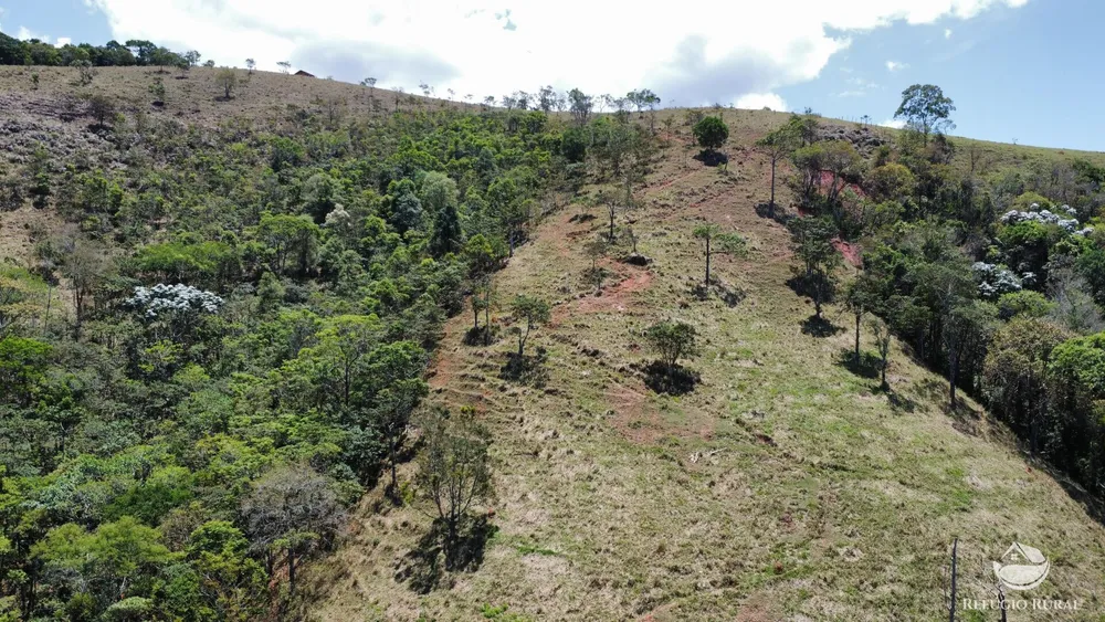 Sítio, 7 hectares - Foto 1