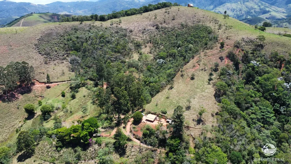 Sítio, 7 hectares - Foto 4