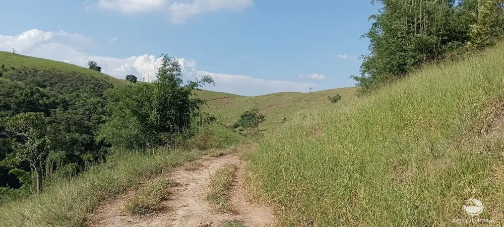 Fazenda, 725 hectares - Foto 6