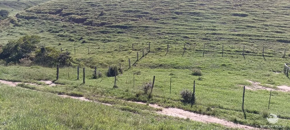 Fazenda, 725 hectares - Foto 8
