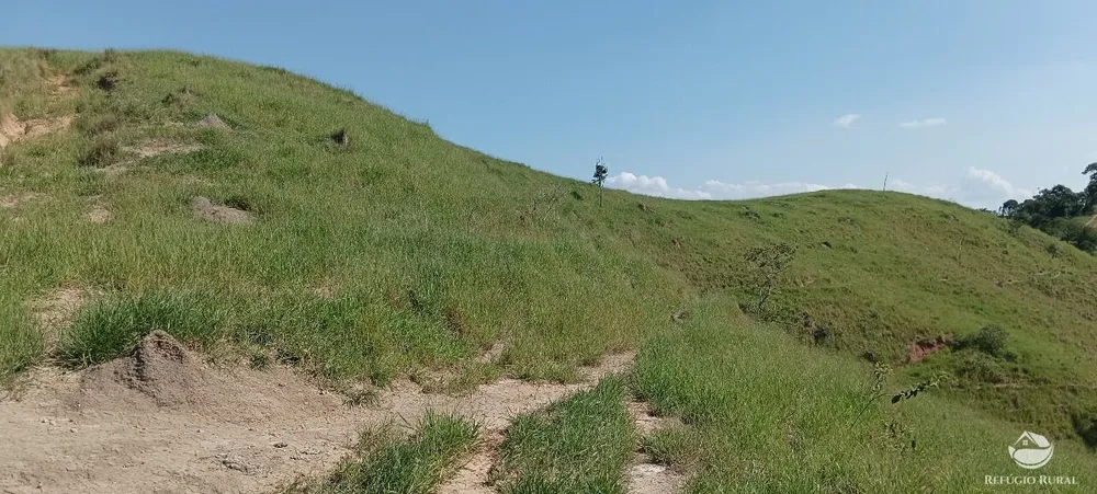 Fazenda, 725 hectares - Foto 9