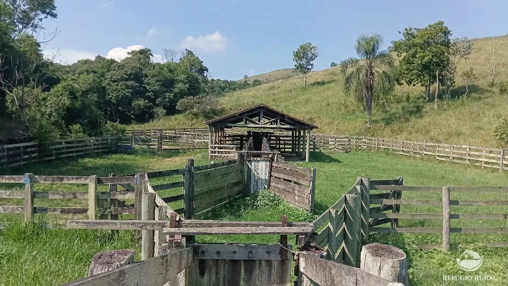 Fazenda, 725 hectares - Foto 11