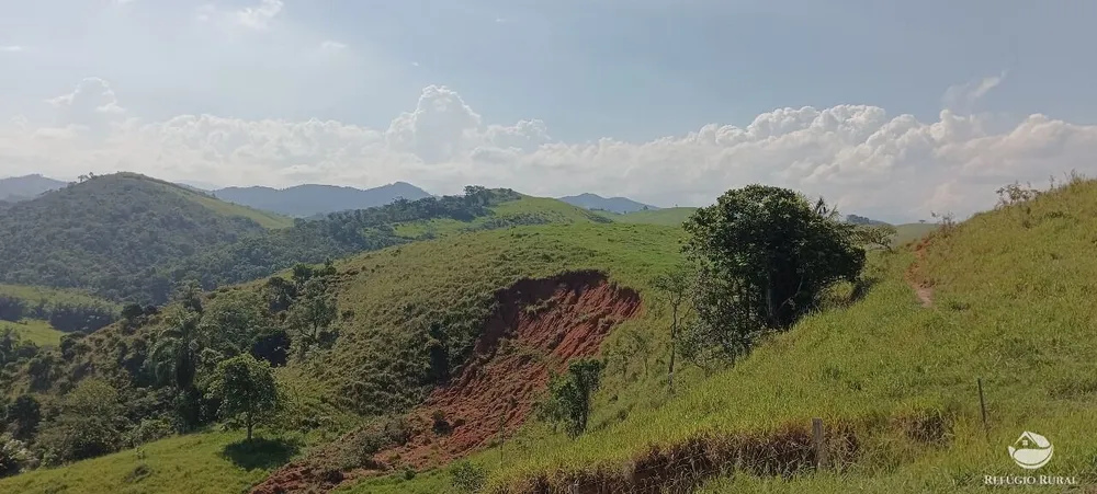 Fazenda, 725 hectares - Foto 12