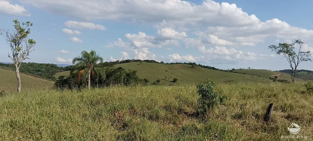Fazenda, 725 hectares - Foto 3