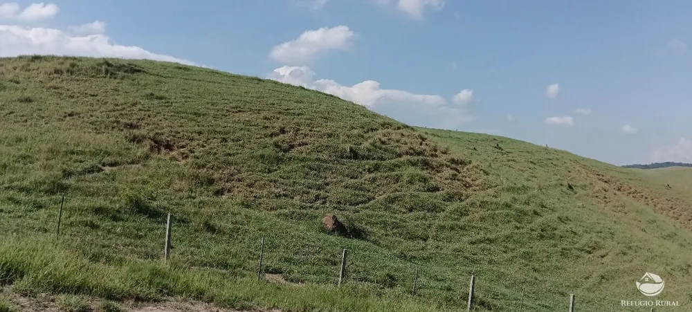 Fazenda, 725 hectares - Foto 7