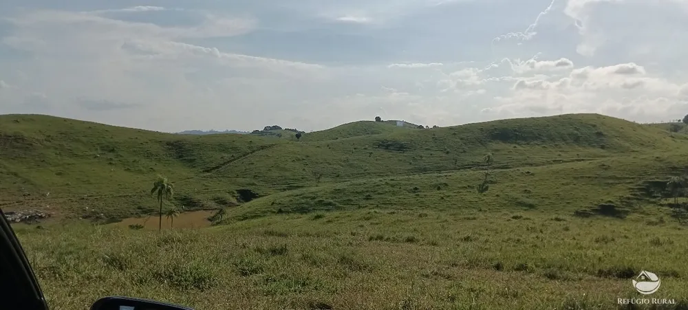 Fazenda, 725 hectares - Foto 4