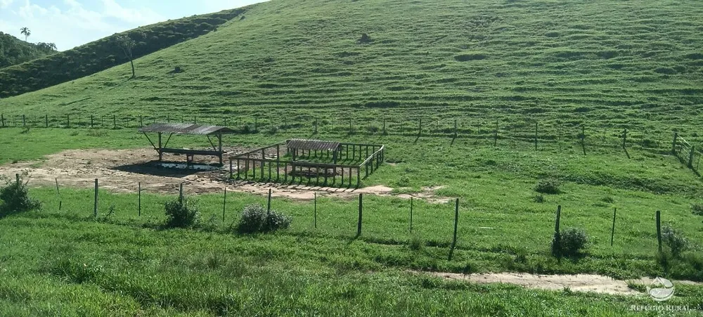 Fazenda, 725 hectares - Foto 2