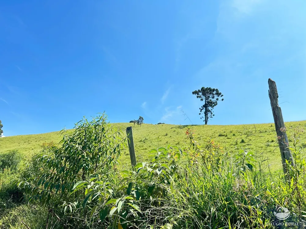 Terreno, 36 hectares - Foto 9
