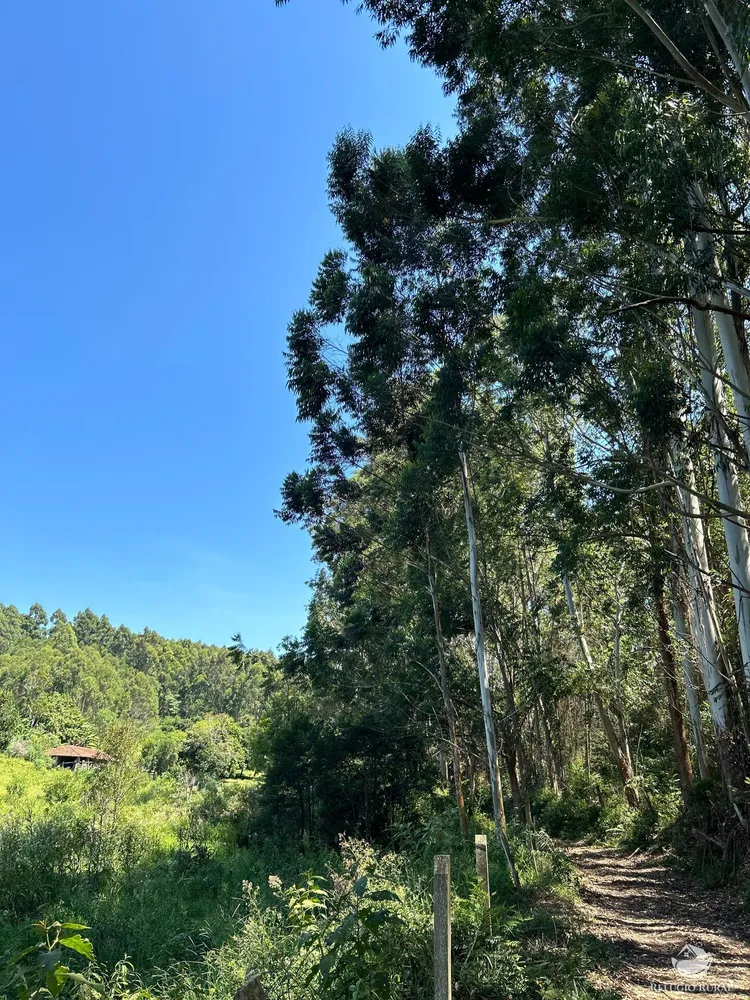 Terreno, 36 hectares - Foto 6