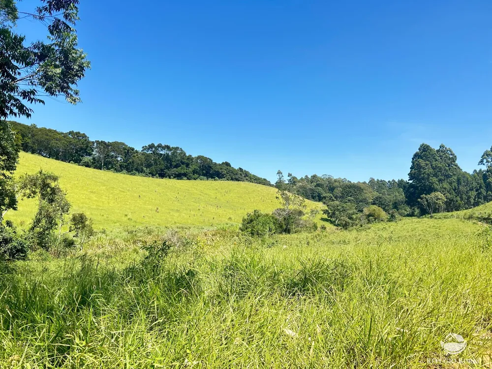 Terreno, 36 hectares - Foto 10