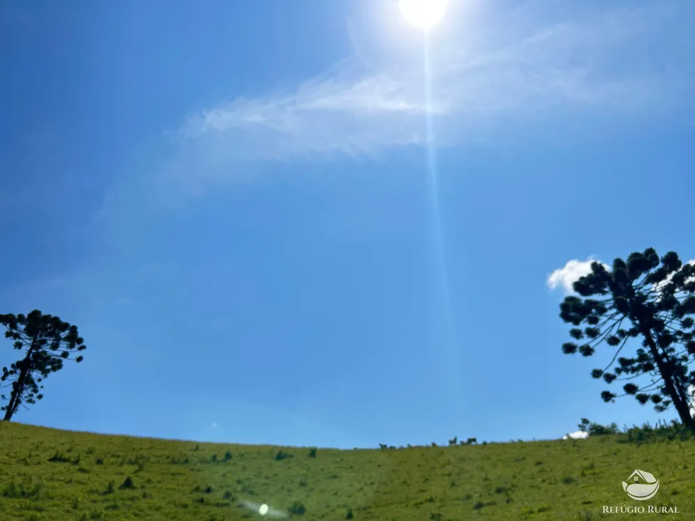 Terreno, 36 hectares - Foto 8