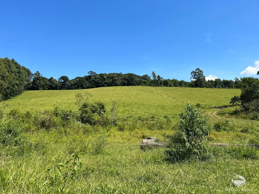 Terreno, 36 hectares - Foto 4