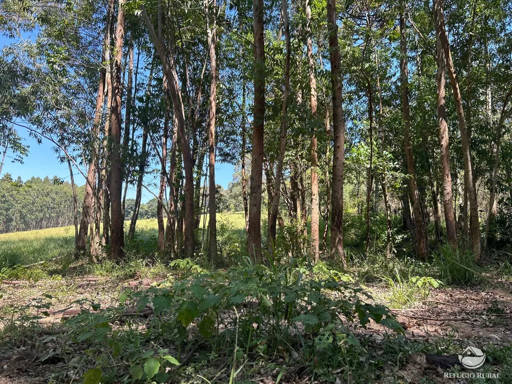 Terreno, 36 hectares - Foto 2