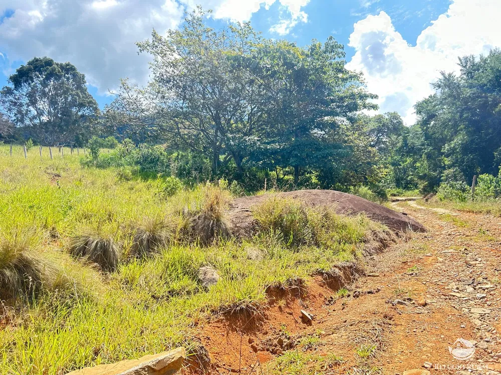 Terreno, 36 hectares - Foto 1