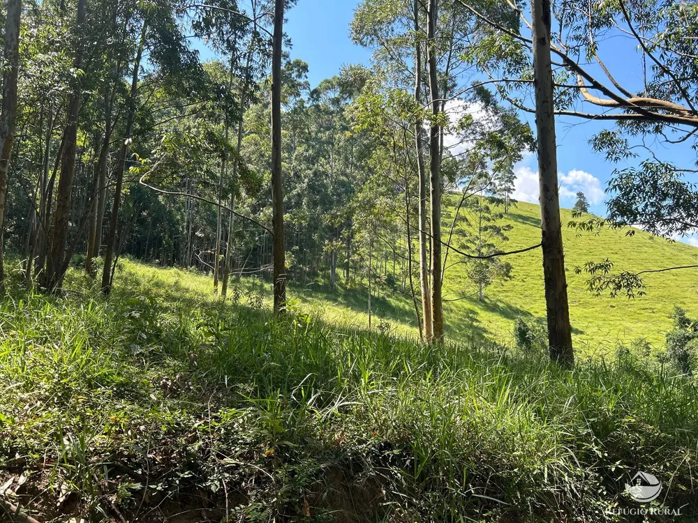 Terreno, 36 hectares - Foto 3