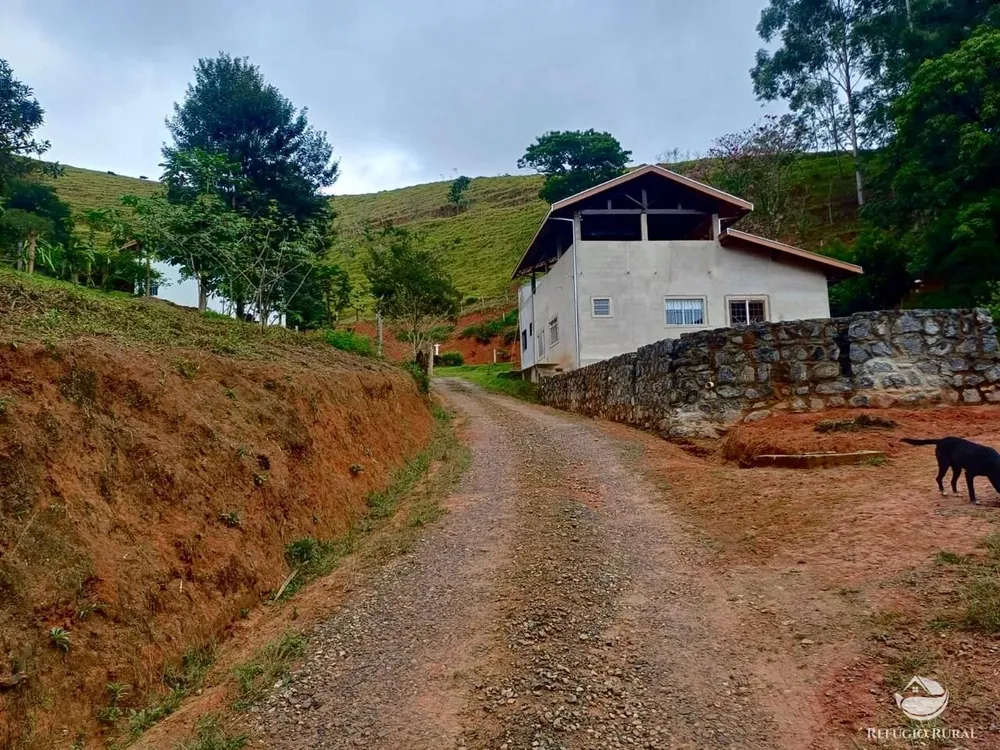 Sítio, 8 hectares - Foto 4