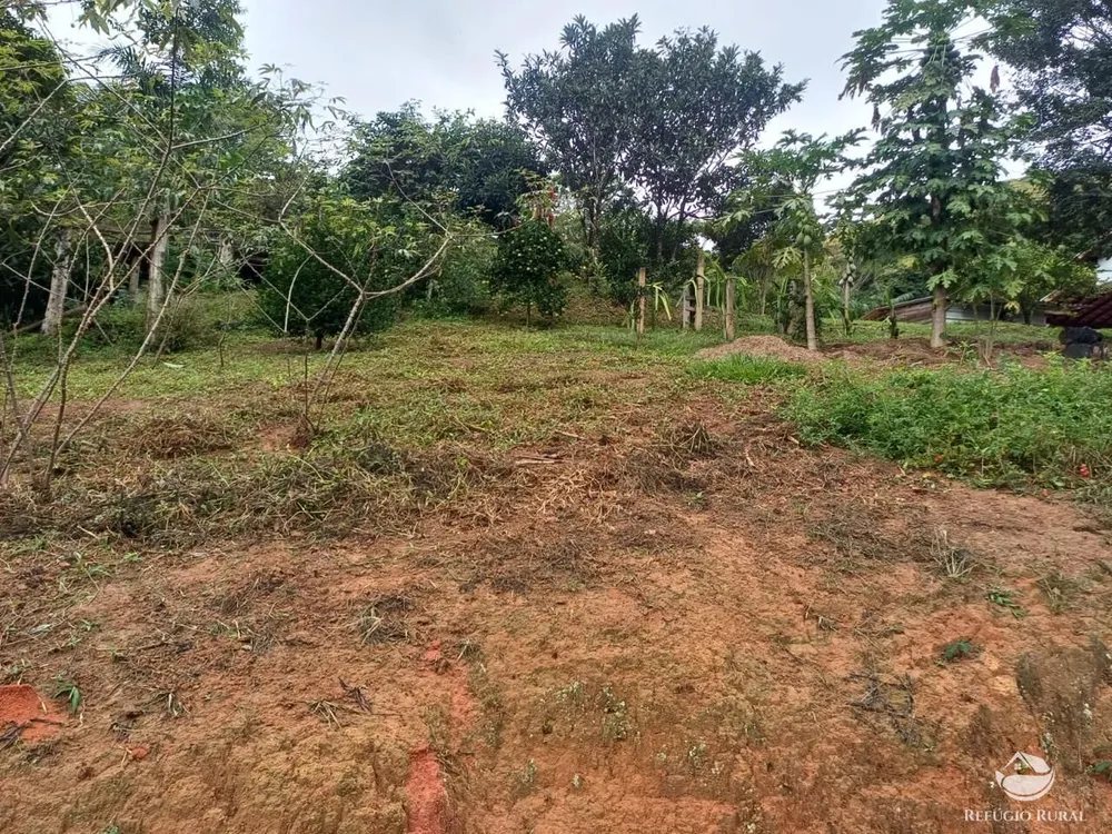Sítio, 8 hectares - Foto 11