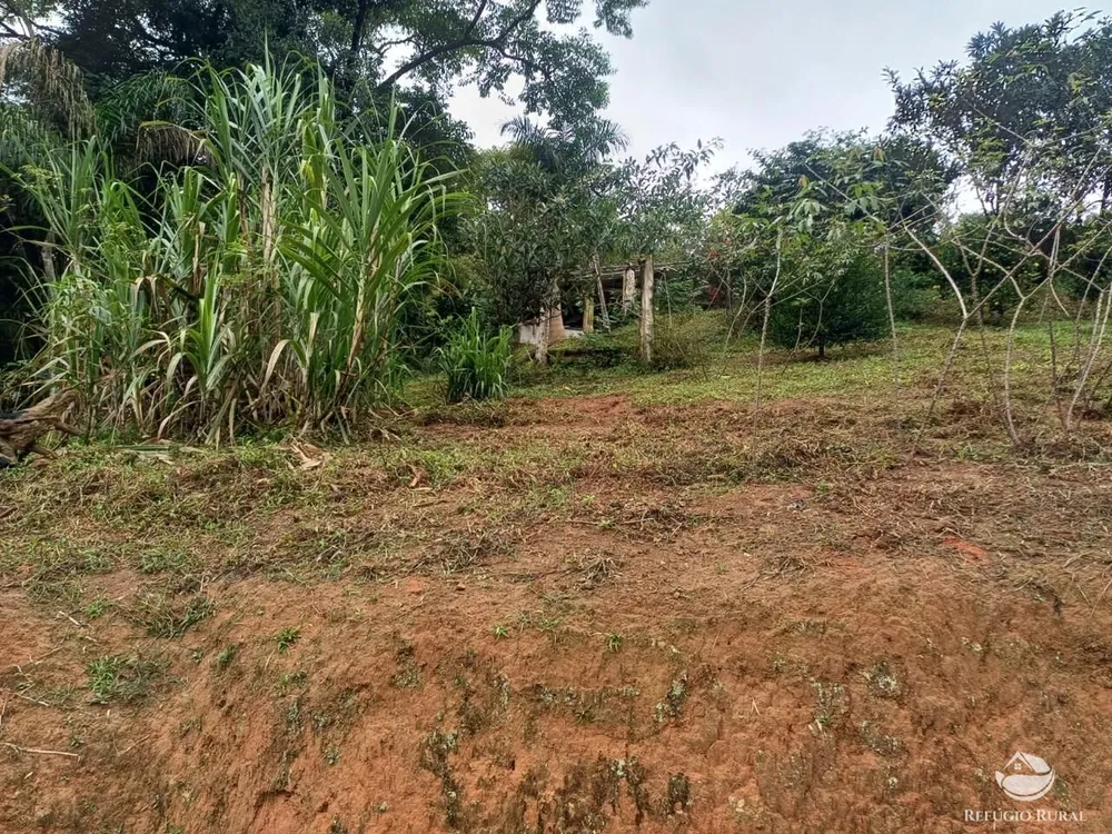 Sítio, 8 hectares - Foto 10