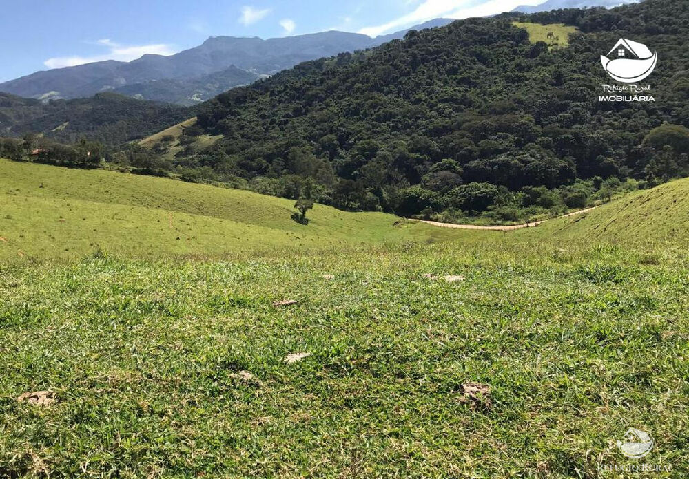 Sítio, 17 hectares - Foto 4