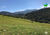 Sítio, 1 quarto, 17 hectares - Foto 1