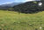 Sítio, 1 quarto, 17 hectares - Foto 2