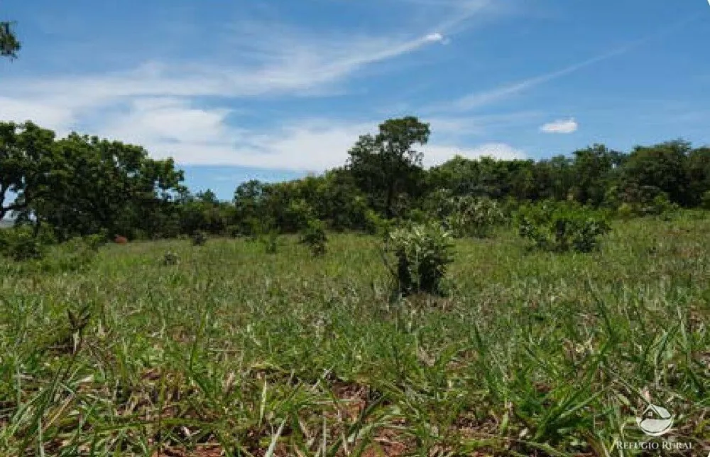 Chácara, 20 hectares - Foto 8
