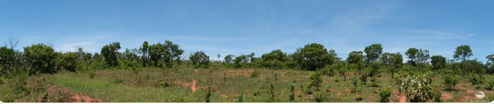 Chácara, 20 hectares - Foto 9