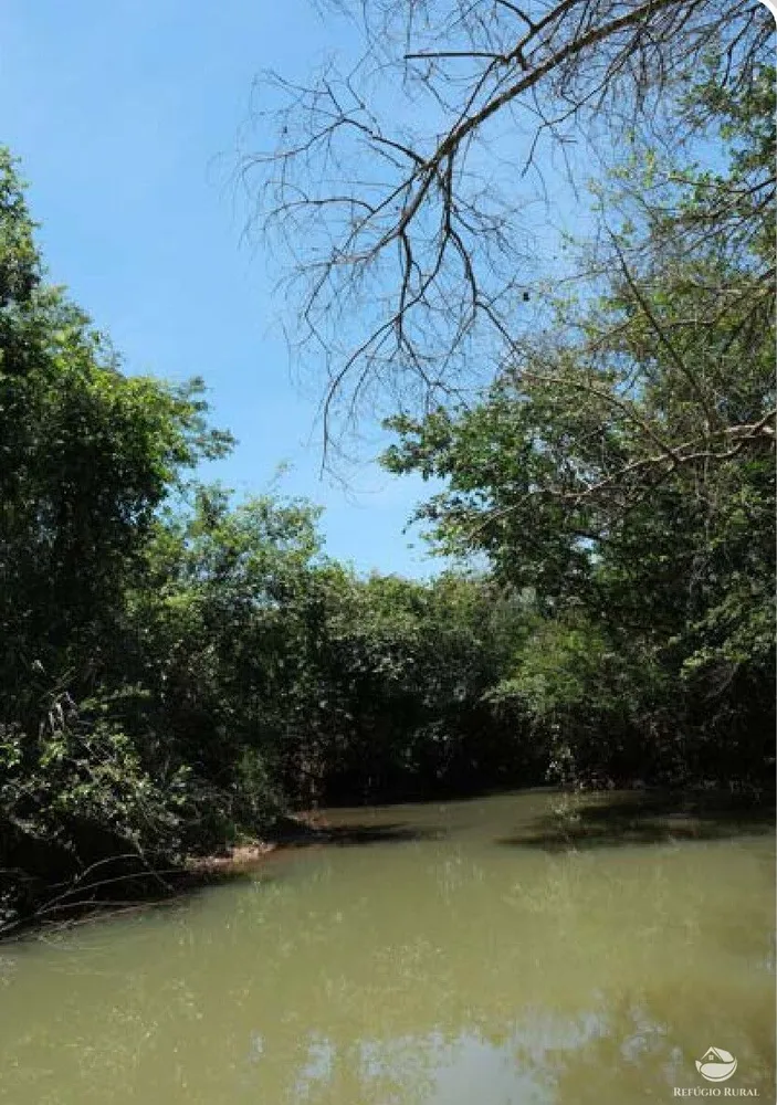 Chácara, 20 hectares - Foto 4