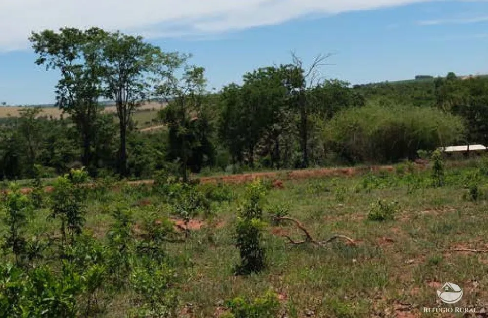 Chácara, 20 hectares - Foto 6
