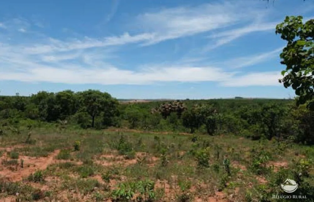 Chácara, 20 hectares - Foto 10