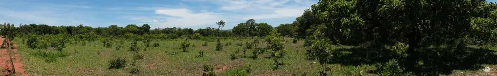 Chácara, 20 hectares - Foto 16