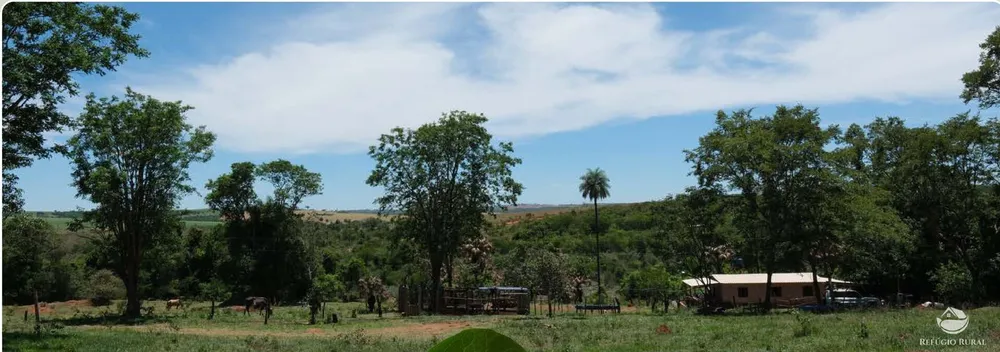 Chácara, 20 hectares - Foto 3