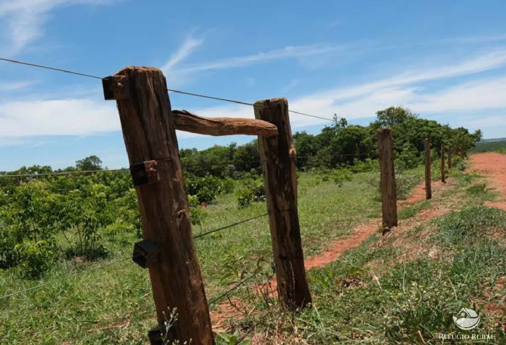 Chácara, 20 hectares - Foto 15