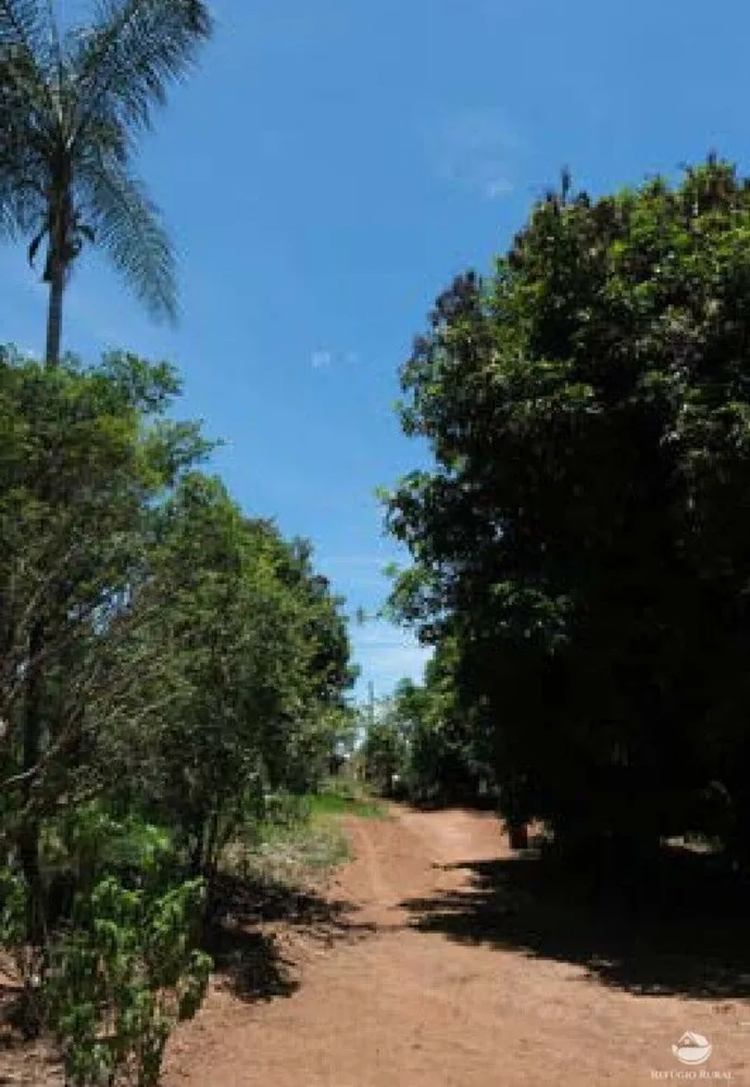 Chácara, 20 hectares - Foto 13