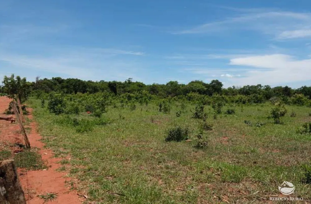 Chácara, 20 hectares - Foto 14