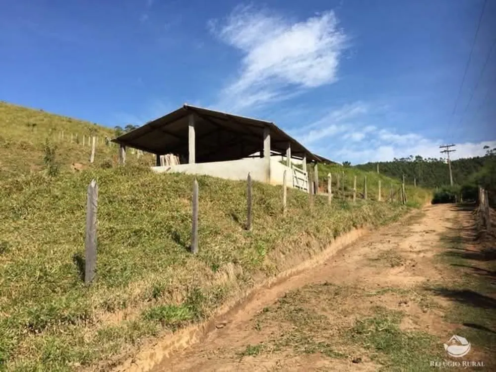 Sítio, 15 hectares - Foto 8