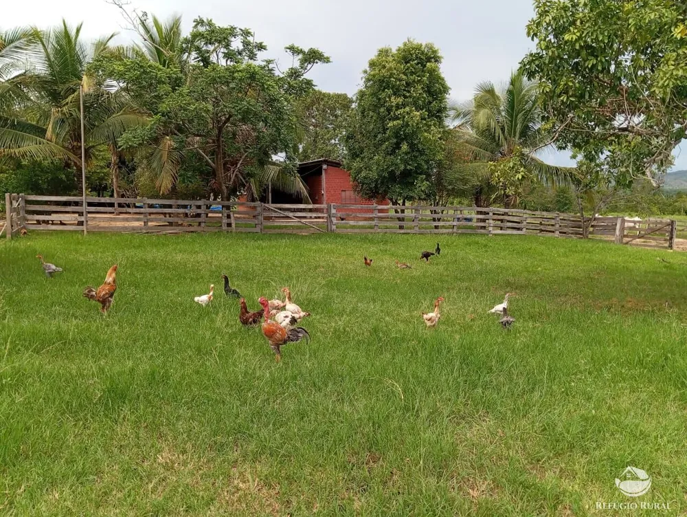 Fazenda, 271 hectares - Foto 3